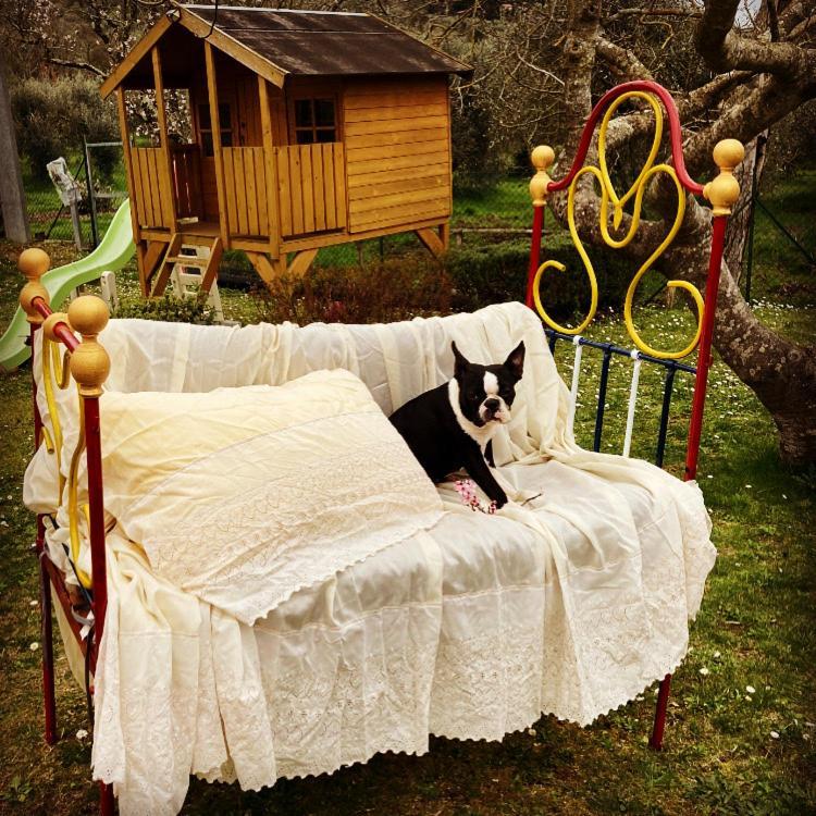 Гостевой дом Le Coccole Del Trasimeno Туоро-суль-Тразимено Экстерьер фото
