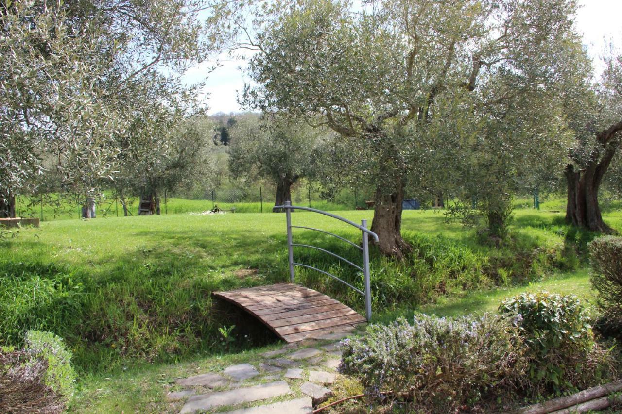 Гостевой дом Le Coccole Del Trasimeno Туоро-суль-Тразимено Экстерьер фото